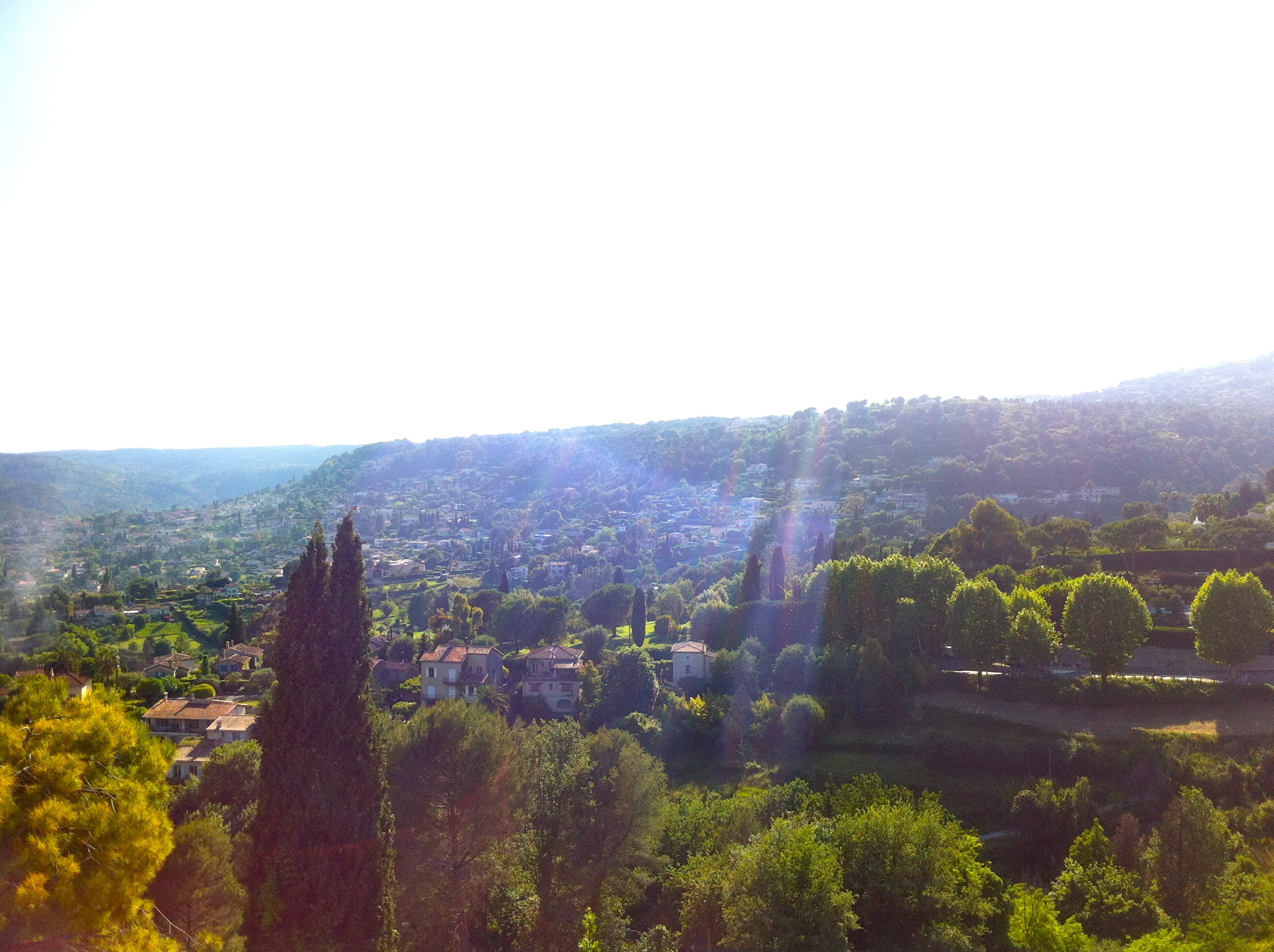 20130721-204422.jpg