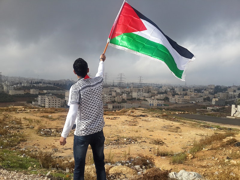 Paleestinian Words Without Action: Has Global Recognition of Palestinian Statehood ...